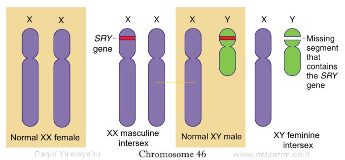 chromosome 46 860x400