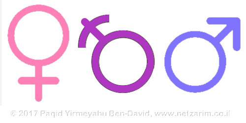 gender icon color 500x250